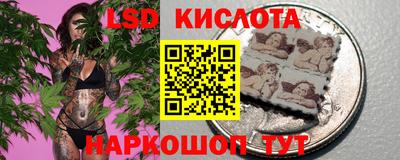 СК Дубна