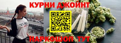 СК Дубна