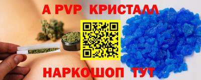 СК Дубна