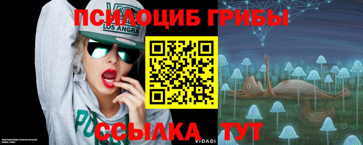 цена   Галлюциногенные грибы Psilocybe  Вход с VPN  Минеральные Воды 